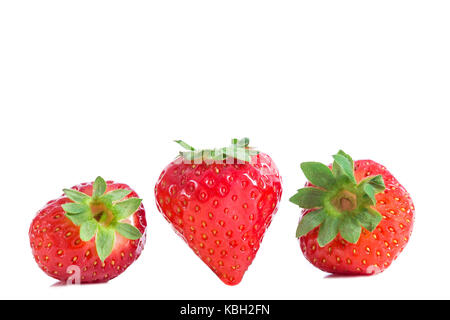 Erdbeere isoliert auf weißem. Erntegut auf Weiß Stockfoto
