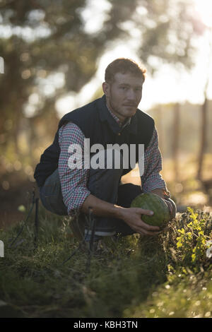 Junge Landwirt Holding eine Wassermelone in das Feld Stockfoto