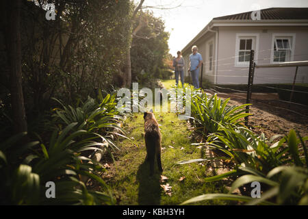Senior Paar stehend in den Park an einem sonnigen Tag Stockfoto