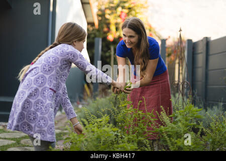 Enkelin und Oma Gartenarbeit in den Park an einem sonnigen Tag Stockfoto