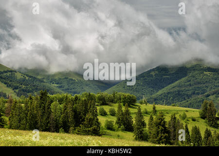 Gewitterwolken über die Berge und grüne Wiesen. Stockfoto
