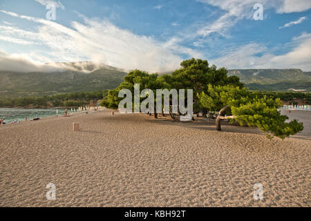 Zlatni Rat (Goldenes Horn) Strand, Insel Brac, Kroatien Stockfoto