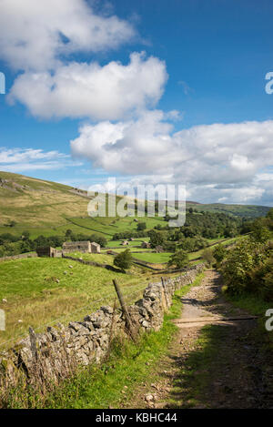 Die schöne Landschaft rund um Muker in Swaledale, Yorkshire Dales, England. Mit dem traditionellen Stein Scheunen oder 'Kuh Häuser ''Kuh' usses'. Stockfoto