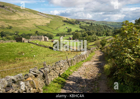 Die schöne Landschaft rund um Muker in Swaledale, Yorkshire Dales, England. Mit dem traditionellen Stein Scheunen oder 'Kuh Häuser ''Kuh' usses'. Stockfoto