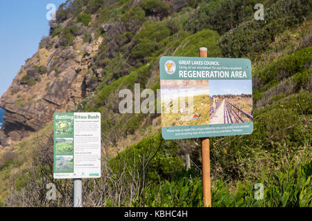 Sand dune Regeneration Bereich im Boomerang Beach auf der Mitte der Nordküste von New South Wales, Australien Stockfoto