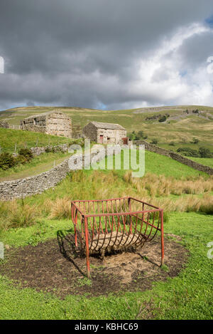 Die schöne Landschaft rund um Muker in Swaledale, Yorkshire Dales, England. Mit dem traditionellen Stein Scheunen oder 'Kuh Häuser ''Kuh' usses'. Stockfoto