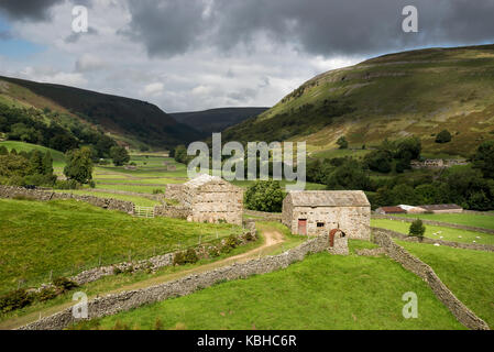 Die schöne Landschaft rund um Muker in Swaledale, Yorkshire Dales, England. Mit dem traditionellen Stein Scheunen oder 'Kuh Häuser ''Kuh' usses'. Stockfoto