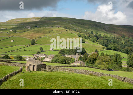 Die schöne Landschaft rund um Muker in Swaledale, Yorkshire Dales, England. Mit dem traditionellen Stein Scheunen oder 'Kuh Häuser ''Kuh' usses'. Stockfoto