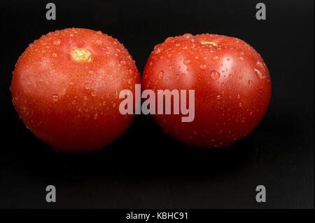 Zwei frische rote gewässert Tomaten mit deutlich sichtbaren Tröpfchen auf schwarzem Hintergrund isoliert. Schließen, horizontale Ansicht Stockfoto