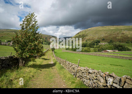 Die schöne Landschaft rund um Muker in Swaledale, Yorkshire Dales, England. Mit dem traditionellen Stein Scheunen oder 'Kuh Häuser ''Kuh' usses'. Stockfoto