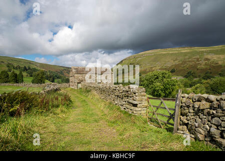 Die schöne Landschaft rund um Muker in Swaledale, Yorkshire Dales, England. Mit dem traditionellen Stein Scheunen oder 'Kuh Häuser ''Kuh' usses'. Stockfoto