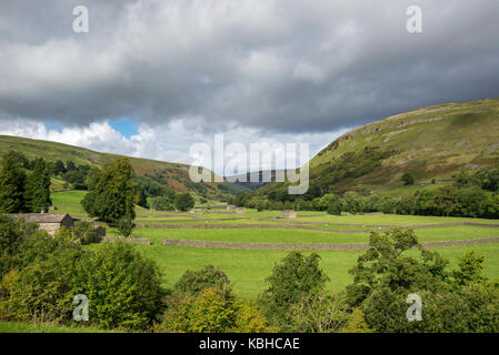 Die schöne Landschaft rund um Muker in Swaledale, Yorkshire Dales, England. Mit dem traditionellen Stein Scheunen oder 'Kuh Häuser ''Kuh' usses'. Stockfoto