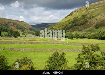 Die schöne Landschaft rund um Muker in Swaledale, Yorkshire Dales, England. Mit dem traditionellen Stein Scheunen oder 'Kuh Häuser ''Kuh' usses'. Stockfoto