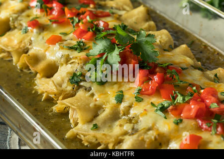 Hausgemachte grüne Chicken Enchiladas mit Koriander und Sauce Stockfoto