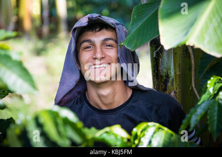 Kaffee picker oder cafetero im Hacienda Venecia Coffee Farm, Manizales, Kolumbien Stockfoto