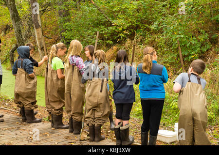 Kinder bereiten über aquatische Biologie und andere ökologische Bildung Aktivitäten im upham Woods outdoor Learning Center zu lernen, ein Teil der Univers Stockfoto