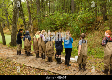 Kinder bereiten über aquatische Biologie und andere ökologische Bildung Aktivitäten im upham Woods outdoor Learning Center zu lernen, ein Teil der Univers Stockfoto