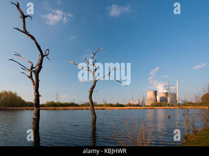 Zwei tote Bäume vor einem riesigen Kohlekraftwerk. Stockfoto