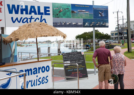 Anmeldung und Buchung stand für Whale watching Bootstouren in Forster, New South Wales, Australien Stockfoto