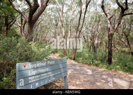 Eintrittsweg zum Sugarloaf Point Leuchtturm bei Seal Rocks im Myall Lakes Nationalpark, New South wales, Australien Stockfoto