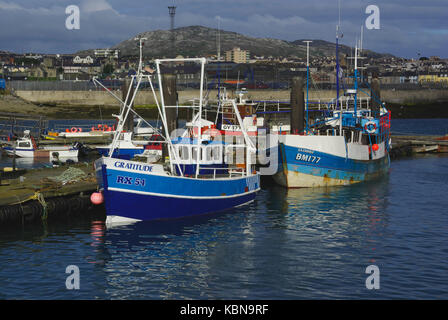 Fischerboote in Holyhead Hafen, Stockfoto