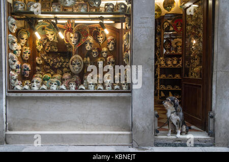 Ein Hund sitzt in der Tür eine venezianische Maske shop Stockfoto