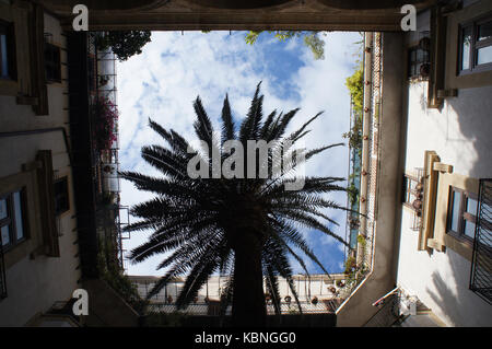 Das Haus Hof mit einem Palm, Palermo, Italien Stockfoto