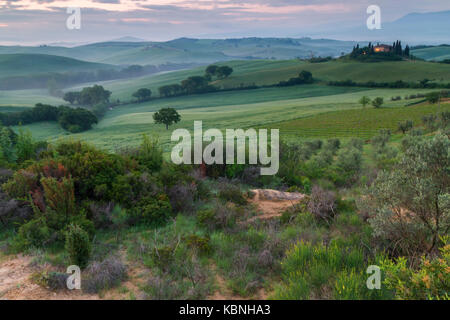 Eine Feder Sonnenaufgang am Podere Belvedere, San Quirico d'Orcia, Val d'Orcia, Toskana, Italien. Stockfoto