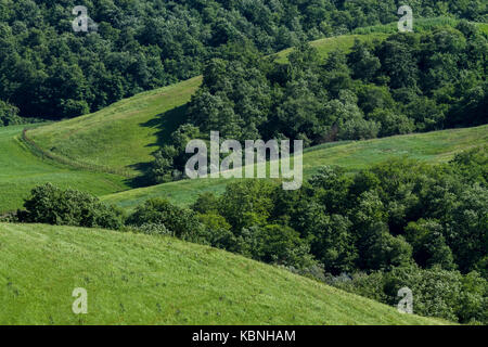 Ein verlassenes Bauernhaus auf dem Land rund um die Stadt von Chiusure, in der Nähe von Asciano, Val d'Orcia, Toskana, Italien. Stockfoto