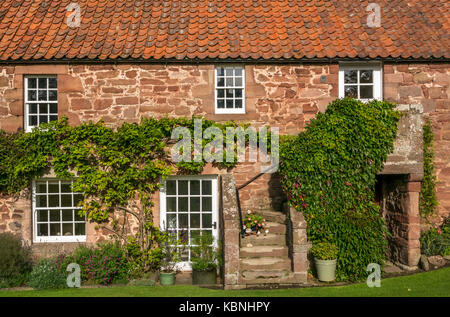 Traditionelle alte rote Rubinsteinhütte mit Pantile Dach und Reben an sonnigen Tagen in Stenton Dorf, East Lothian, Schottland, Großbritannien Stockfoto