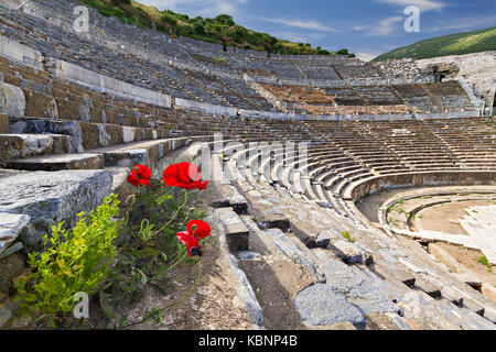 Amphitheater im römischen Ruinen von Ephesus mit roter Mohn im Vordergrund. Stockfoto