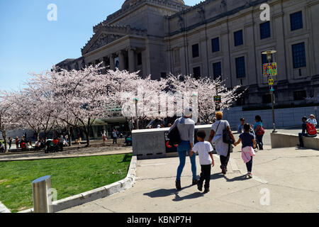 Besucher und Touristen im Brooklyn Museum der Kunst kommen sie mit einem warmen Frühlingstag mit Kirschen blühen Bäume in voller Blüte. Stockfoto