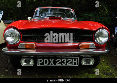 Triumph TR6 Cabrio auf der westlich von England Transport Sammlung Tag der offenen Tür bei Winkleigh, Devon, am 6. Oktober 2013. Stockfoto