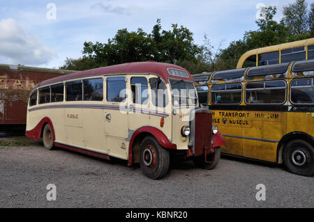 Erhaltene Ribble Leyland Tiger TS 7 FV 5737, mit Duple Karosserie, wird im Westen von England Transport Sammlung Tag der Offenen Tür am 6. Oktober 2013 gesehen. Stockfoto