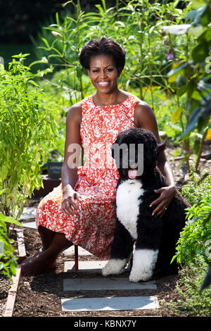 WASHINGTON - Februar 2011: First Lady Michelle Obama stellt für die offizielle Portrait im Weißen Haus in Washington, DC. Hoo-Me.com/MediaPunch Personen: First Lady Michelle Obama Getriebe Ref: FLXX Stockfoto