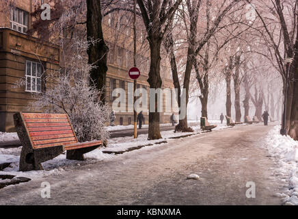 Sitzbank am längsten Linden Allee im Winter. geheimnisvoll und dunstiger Morgen mit Raureif am Ufer des Flusses Uzh Stockfoto