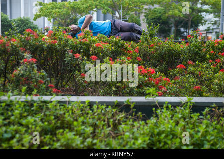 29.09.2017, Singapur, Republik Singapur, Asien - ein Mann schläft auf einer Bank hinter einer Hecke in Singapore's Central Business District. Stockfoto