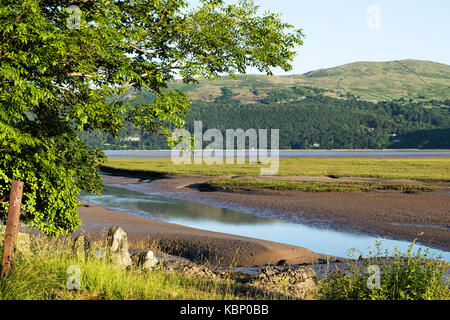 Morgenlicht über der Mawddach-Mündung in der Nähe von Dolgellau, Snowdonia National Park, Wales, Großbritannien Stockfoto