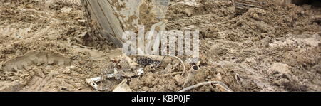 Bau Aushub, Bagger Schaufel im Boden schließen Stockfoto
