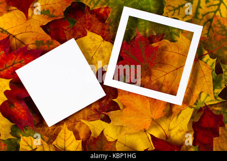 Kreative Gestaltung der Blätter im Herbst mit weißem Papier Karte Hinweis und leeren Rahmen gemacht Stockfoto