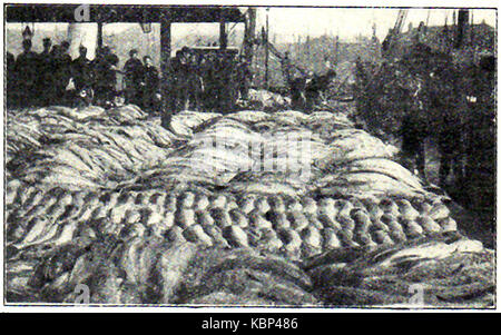 1914 - ein Jahrgang Foto von Grimsby Fischmarkt Stockfoto