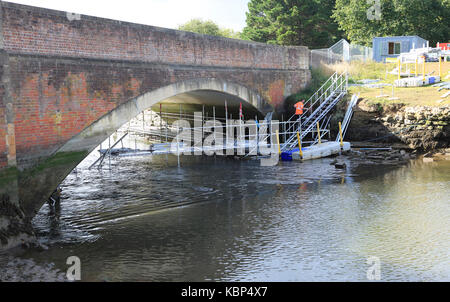 Reparaturarbeiten zu Wilford Brücke, Fluss Deben, Melton, Suffolk, England, Großbritannien Stockfoto