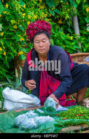 Portrait von Pao Stamm Frau im Shan Staat Myanmar Stockfoto