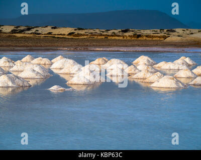 Verdampfung Pools mit versammelt Salz in Kap Verde, Insel Sal Stockfoto