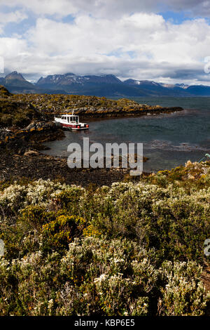 Brücken Insel, Isla Brücken in den Beagle Kanal aus Ushuaia, Feuerland, Patagonien, Argentinien, Südamerika Stockfoto