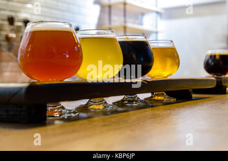 Handwerk Bier Verkostung in Tijuana, Mexiko, nach einem Abend der Fotografie. Stockfoto