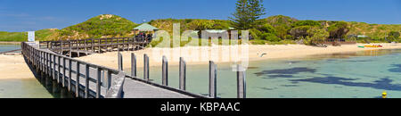 Ein Strand und eine Promenade auf Penguin Island, die Heimat einer Kolonie von rund 1200 kleinen Pinguinen und über 50 anderen Seevögeln. Stockfoto