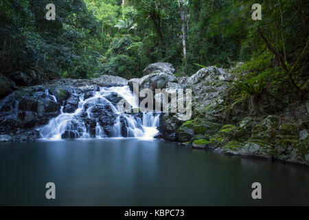 Lamington Nationalpark, Queensland, Australien Stockfoto