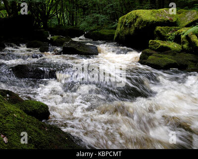 Golitha Falls auf dem river Fowey durch die alte Eiche Waldland von draynes Holz, Bodmin, Cornwall, Großbritannien Stockfoto