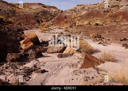 Der Versteinerte Wald-Nationalpark ist ein Nationalpark der Vereinigten Staaten im Nordosten von Arizona.", "Der Petrified-Forest-Nationalpark ist ein Na Stockfoto